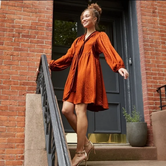 NWT A New Day rust babydoll dress - Picture 3 of 8